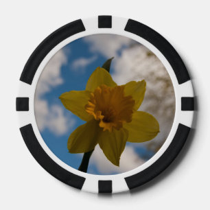 Daffodin im Frühjahr Pokerchips