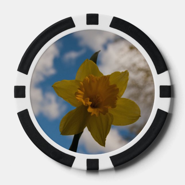 Daffodin im Frühjahr Pokerchips (Vorderseite)
