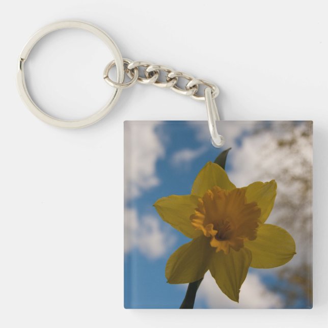 Daffodin im Frühjahr Schlüsselanhänger (Vorderseite)