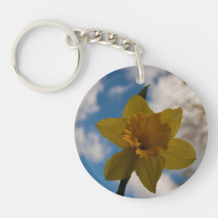 Daffodique au printemps