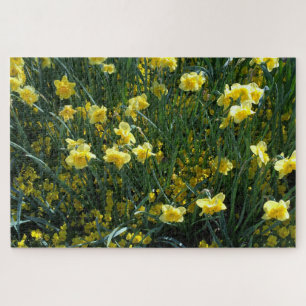 Daffodique délice puzzle