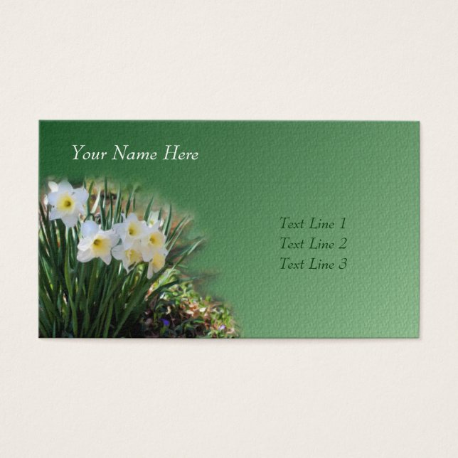 Daffodiques blanches (Devant)