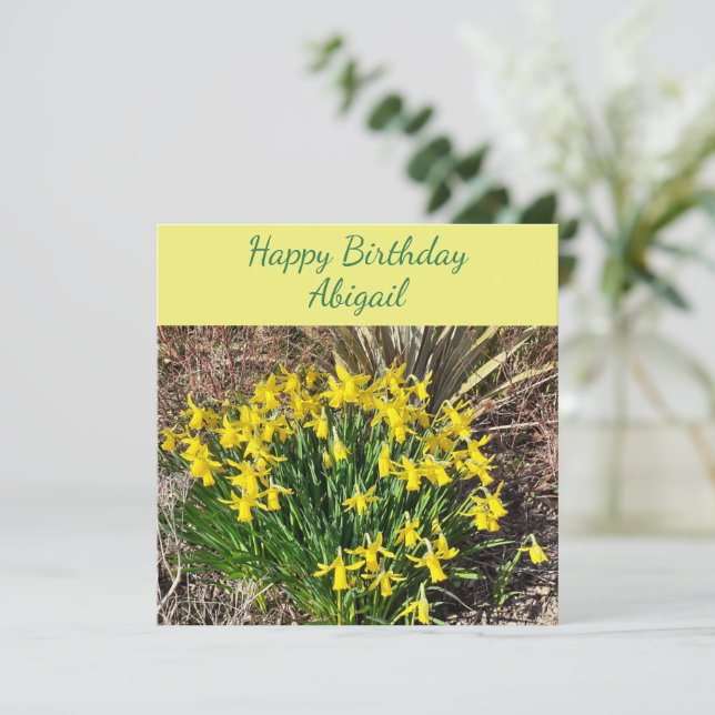 Daffodiques jaunes printanières Carte d'anniversai (Debout devant)