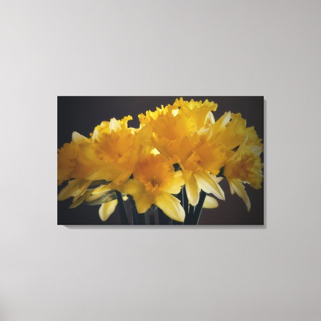 Daffodis Blume Leinwand Fotografie (Vorderseite)