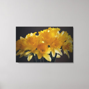 Daffodis Blume Sunlight Leinwand Fotografie