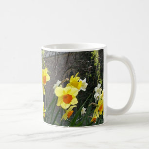 Daffodis Coffee Tasse