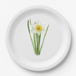Daffodische Blume Botanische Kunst Pappteller