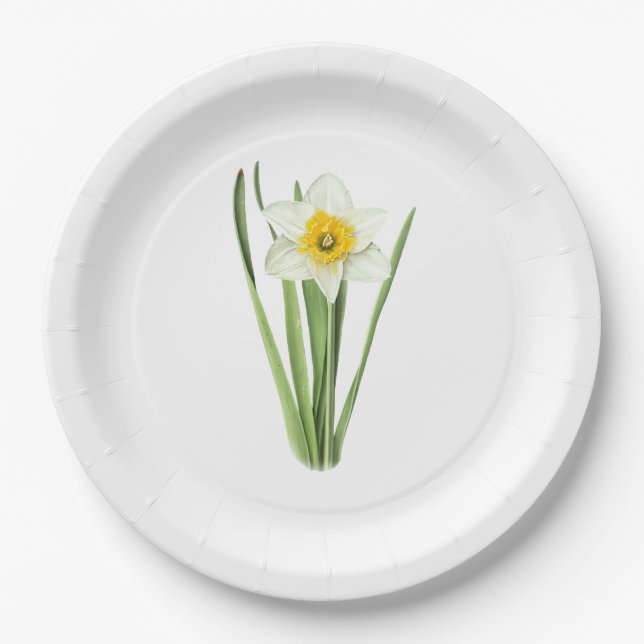 Daffodische Blume Botanische Kunst Pappteller (Vorderseite)