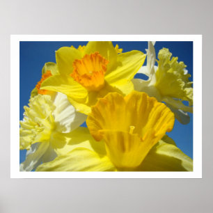 Daffodische Blume Bouquet für Grandma-Kunstdrucke Poster