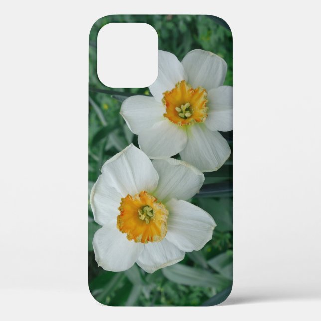 Daffodische Blume Case-Mate iPhone Hülle (Rückseite)