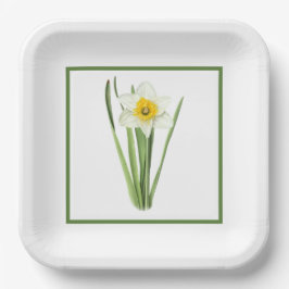 Daffodische Blume grenzt an botanische Kunst Pappteller
