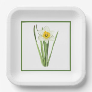 Daffodische Blume grenzt an botanische Kunst Pappteller