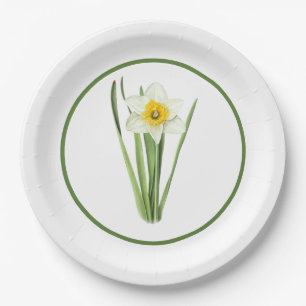 Daffodische Blume grenzt an botanische Kunst Pappteller