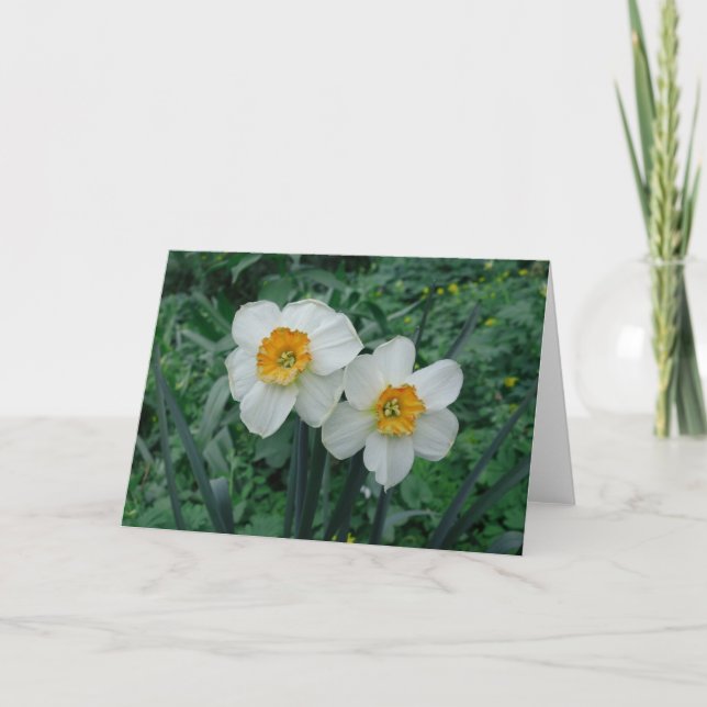 Daffodische Blume Karte (Vorderseite)