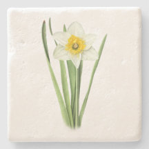 Daffodische Blume