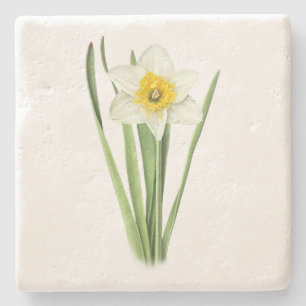 Daffodische Blume Steinuntersetzer