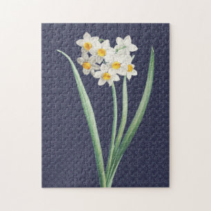 Daffodische Blume Vintag Retro Art