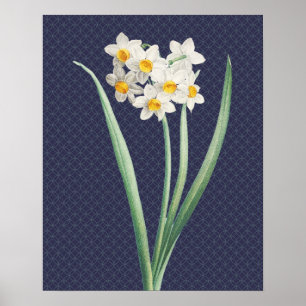 Daffodische Blume Vintag Retro Art Poster