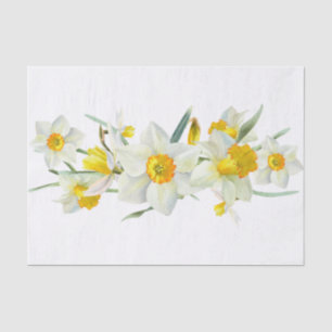 Daffodische Frühlingssäule Blume Wasserfarbe Seidenpapier