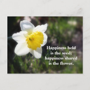 Daffodische Glücksfotografie und Zitat Postkarte