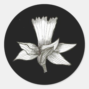 Daffodischer Sticker