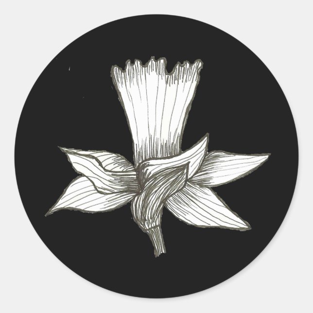 Daffodischer Sticker (Vorderseite)