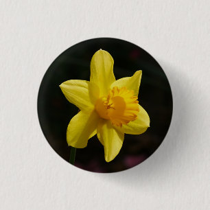 Daffodisches Abzeichen Button