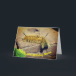 Dagger Moth Raupe Personalisiert Geburtstag  Karte<br><div class="desc">Diese niedliche, kleine, gelbe Dagger-Motte-Raupe sah direkt in die Kamera, während ich sein Foto machte. Naturfotografie von Susan. Klicken Sie auf Anpassen, um einen beliebigen Text zu ändern oder hinzuzufügen, sowie Schriftart Größe, Farbe und Stil zu ändern. Dieses Design ist auf vielen Produkten in meiner Galerie erhältlich. Besuchen Sie Smilin...</div>