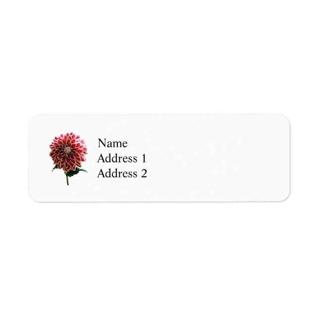 Dahlia (Vorne)