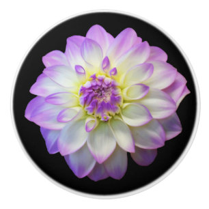 Dahlia auf dem Knob der schwarzen Keramik Keramikknauf