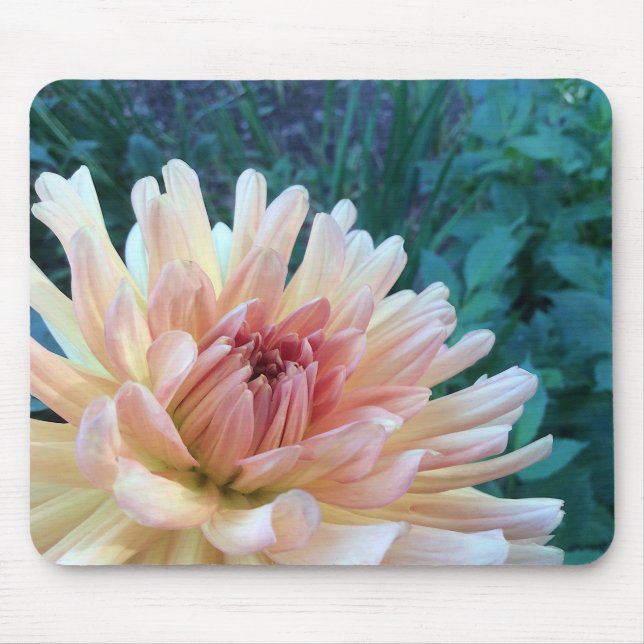 Dahlia B: Gelb und Lachs — Mousepad (Vorne)