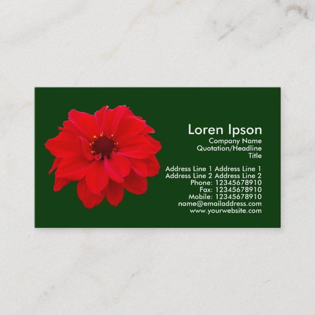 Dahlia, Bischof von Llandaff - Dark Green (003300) Visitenkarte (Vorderseite)