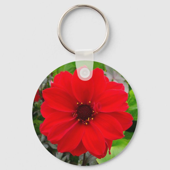 Dahlia - Bischof von Llandaff Schlüsselanhänger (Vorderseite)