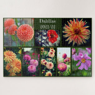 Dahlia Blume Acht FotoCollage 1014pc