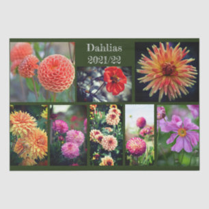 Dahlia Blume Aight Foto Personal Collage Seidenpapier