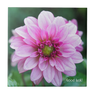 Dahlia Blume Fliese
