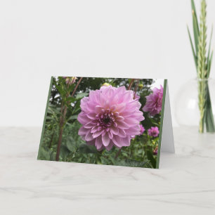 Dahlia Blume Foto Grußkarte Karte