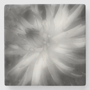 Dahlia-Blume in Schwarz und Weiß Steinuntersetzer