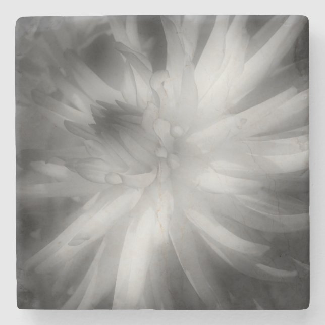 Dahlia-Blume in Schwarz und Weiß Steinuntersetzer (Vorderseite)