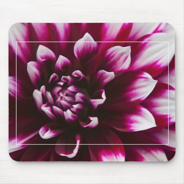 Dahlia Blume Mousepad (Vorne)