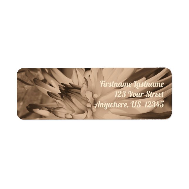 Dahlia-Blume Nah in Sepia-Adresse (Vorne)