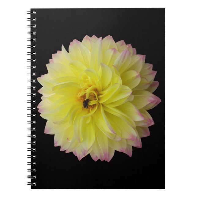 Dahlia Blume Notebook Notizblock (Vorderseite)