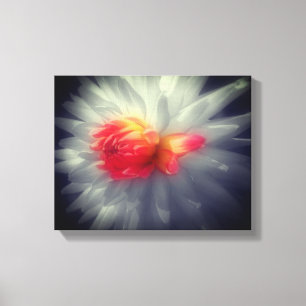 Dahlia Blume Schwarz-Weiß Leinwanddruck