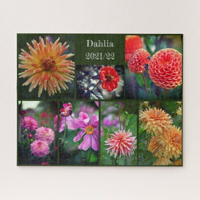 Dahlia Blume Seven Foto Collage 520pc Jigsaw Pu (Horizontal)