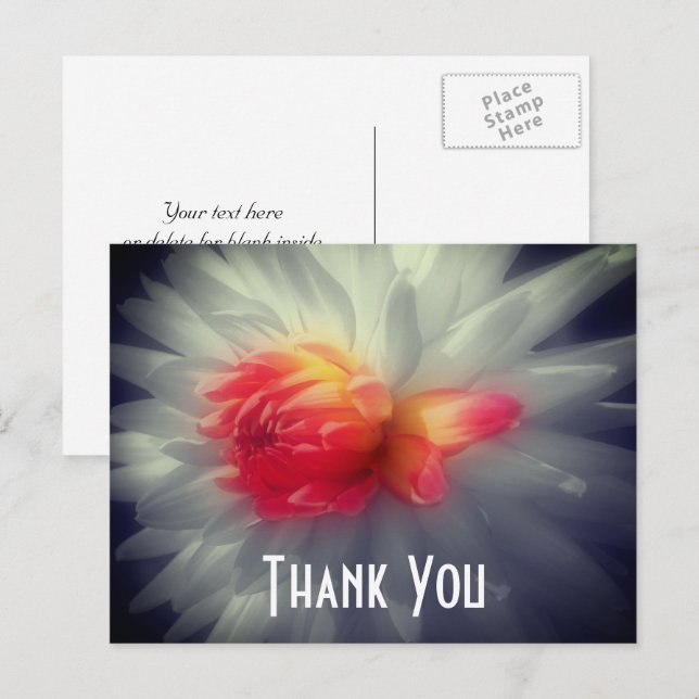 Dahlia Blume teilweise Farbe Vielen Dank Postkarte (Vorne/Hinten)
