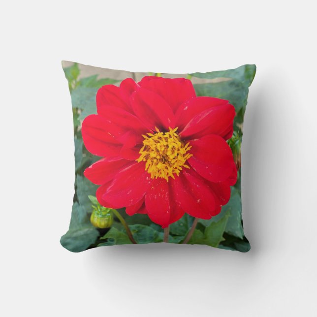 Dahlia Bright Red Kissen (Vorderseite)
