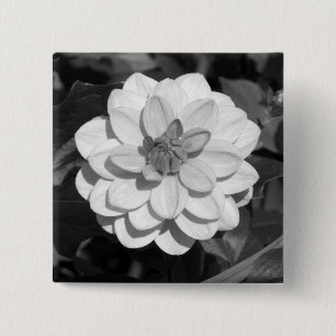 Dahlia 'David Howard' B&W Button