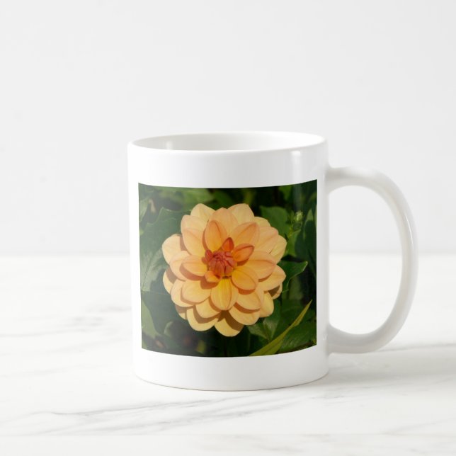 Dahlia 'David Howard' Kaffeetasse (Rechts)