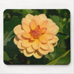 Dahlia 'David Howard' Mousepad