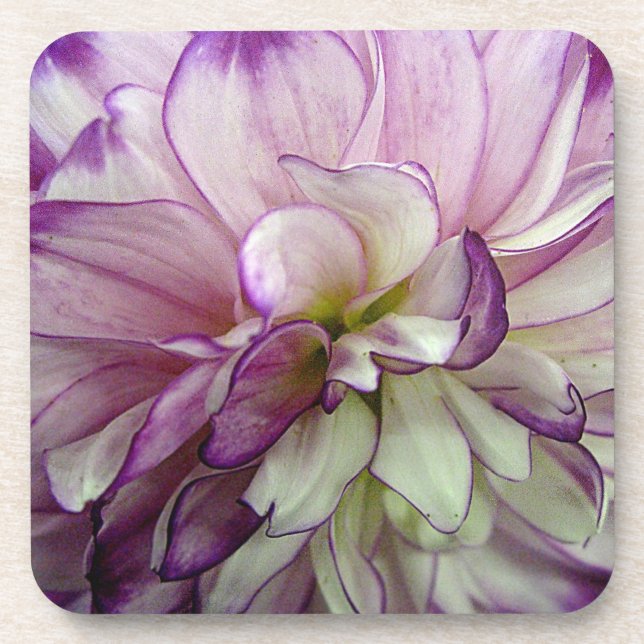 Dahlia Design Set de 6 Dessous de verre Carrés en  (Devant)